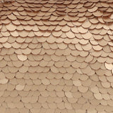 Matte Champagne Sequin