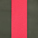 Avocado/Pink Webbing