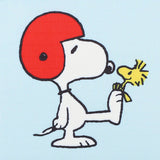 Snoopy Square Cosmetic