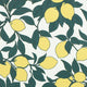 Lemon Orchard print